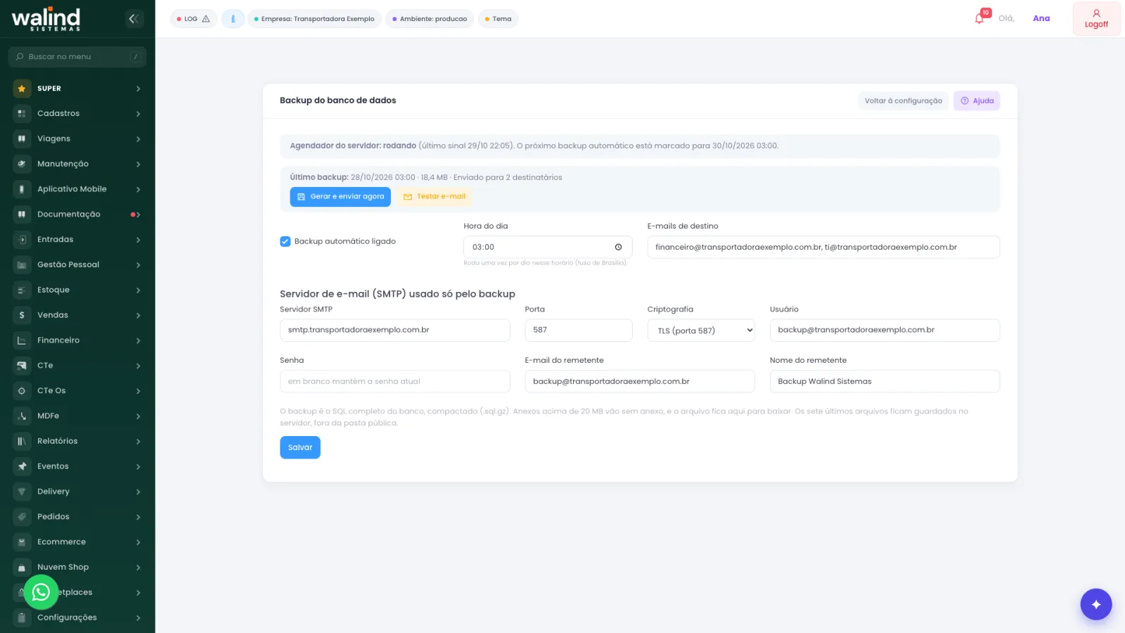 Tela de backup do banco de dados com envio por e-mail